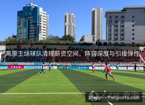 高原主场球队清理薪资空间,阵容深度与引援弹性 高原主场球队清理薪资空间,阵容深度与引援弹性